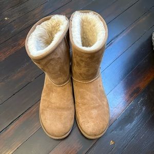 Classic Short Uggs in Chesnut